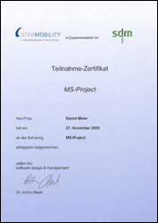 MS Project Schulung